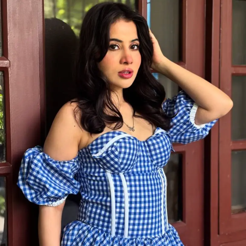 Description of the pic