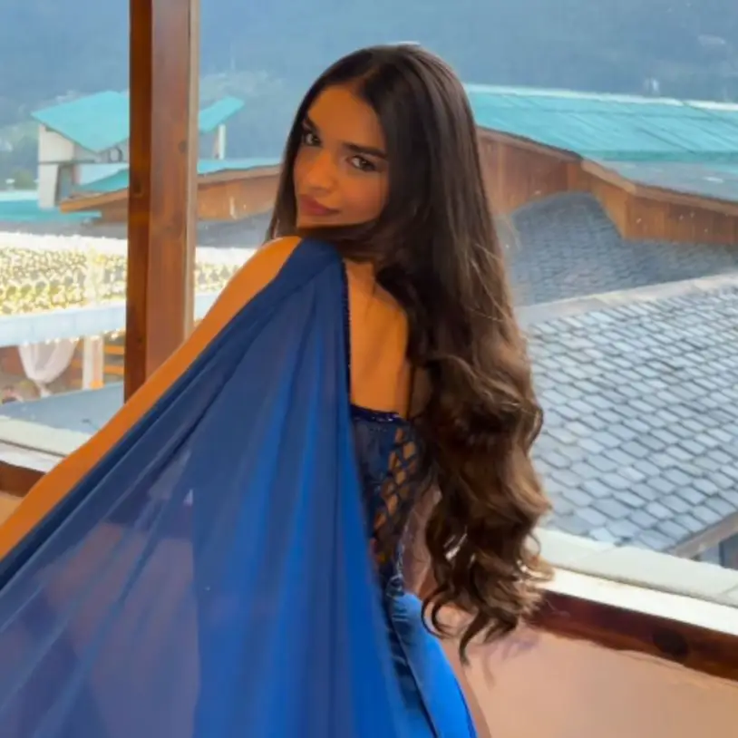 Description of the pic