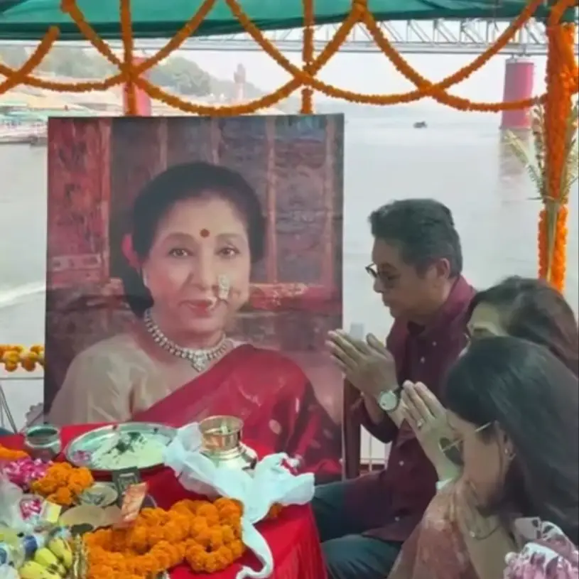 Description of the pic