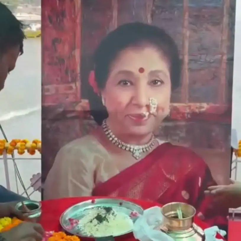 Description of the pic