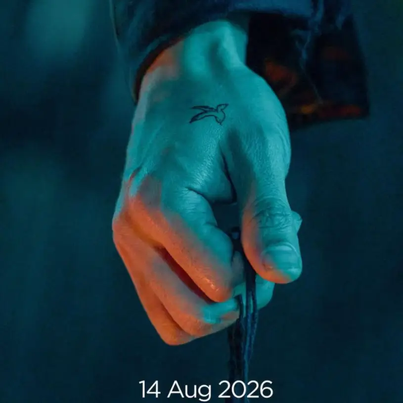 Description of the pic