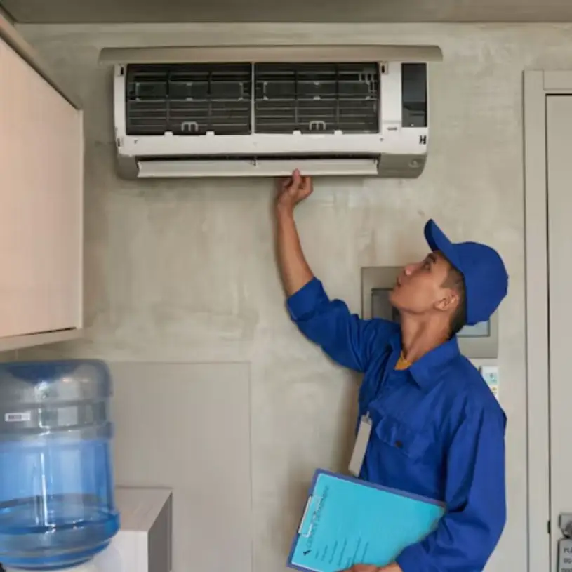 Description of the pic