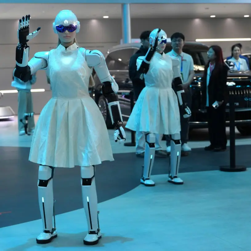 Description of the pic