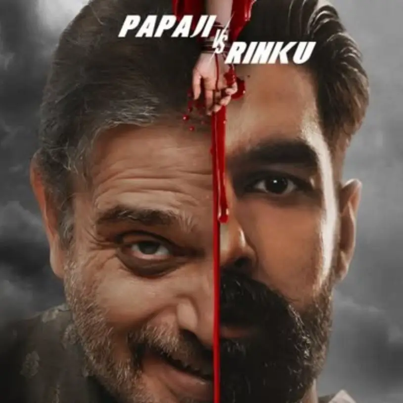 Description of the pic