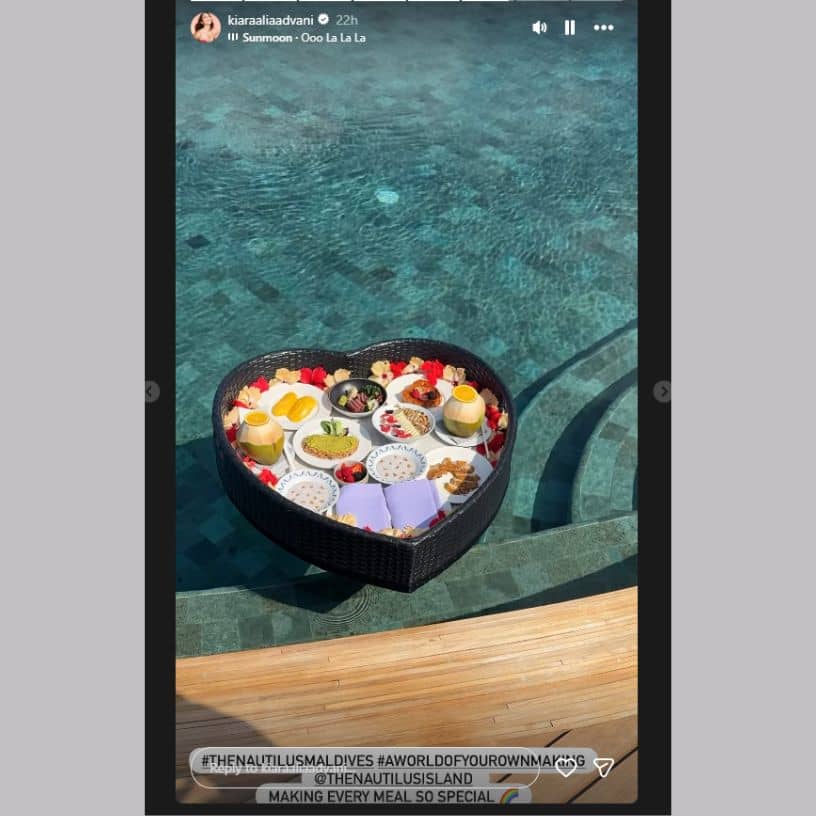 Description of the pic