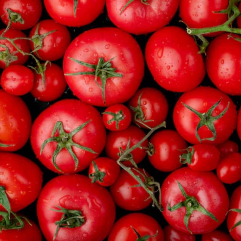 तस्वीर का विवरण