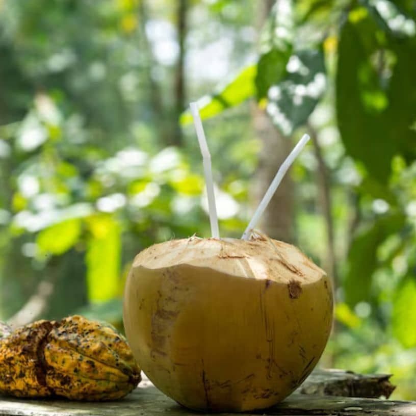 तस्वीर का विवरण