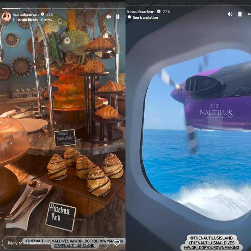 Description of the pic