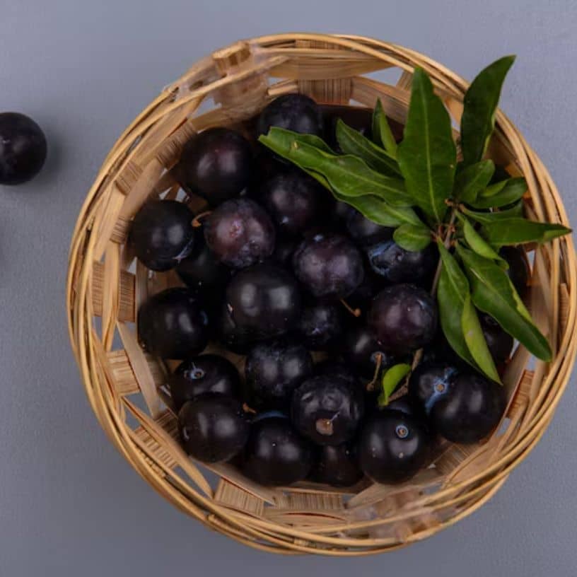 Description of the pic