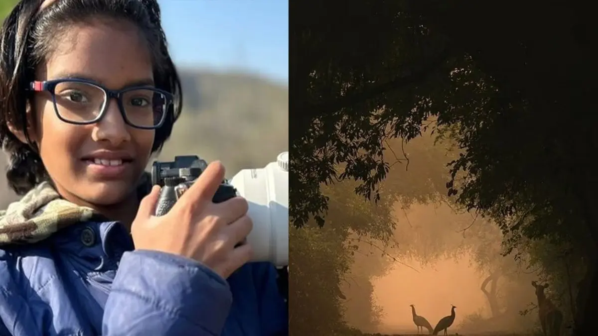 9-Year-Old Indian Girl Wins Prestigious Global Acclaim For Capturing Peafowl Moment in Rajasthan 9-Year-Old Indian Girl Wins Prestigious Global Acclaim For Capturing Peafowl Moment in Rajasthan