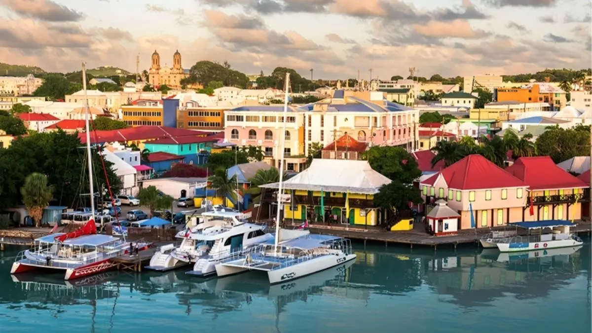 A Second Passport: Ambassador Theon Ali on Antigua and Barbuda's Citizenship Programme A Second Passport: Ambassador Theon Ali on Antigua and Barbuda's Citizenship Programme