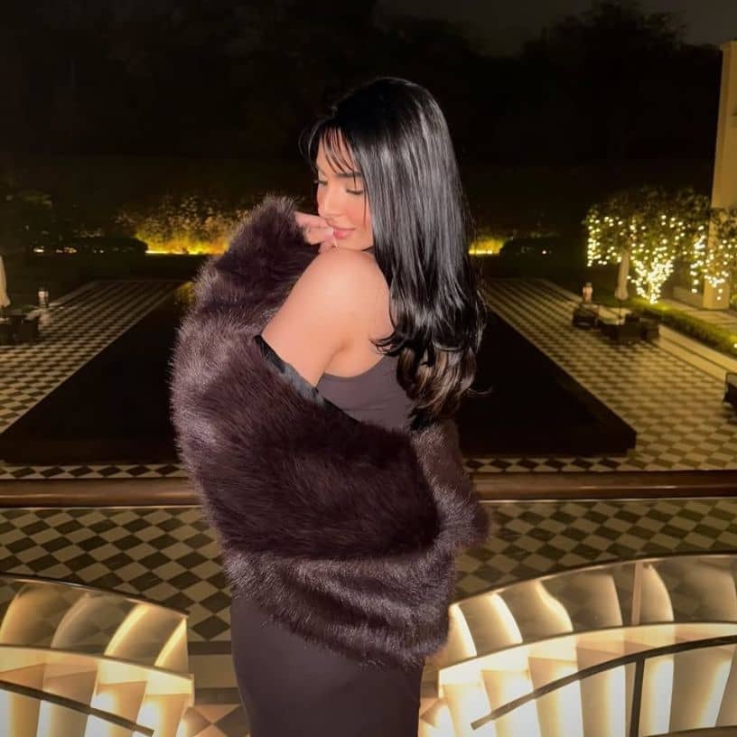 Description of the pic