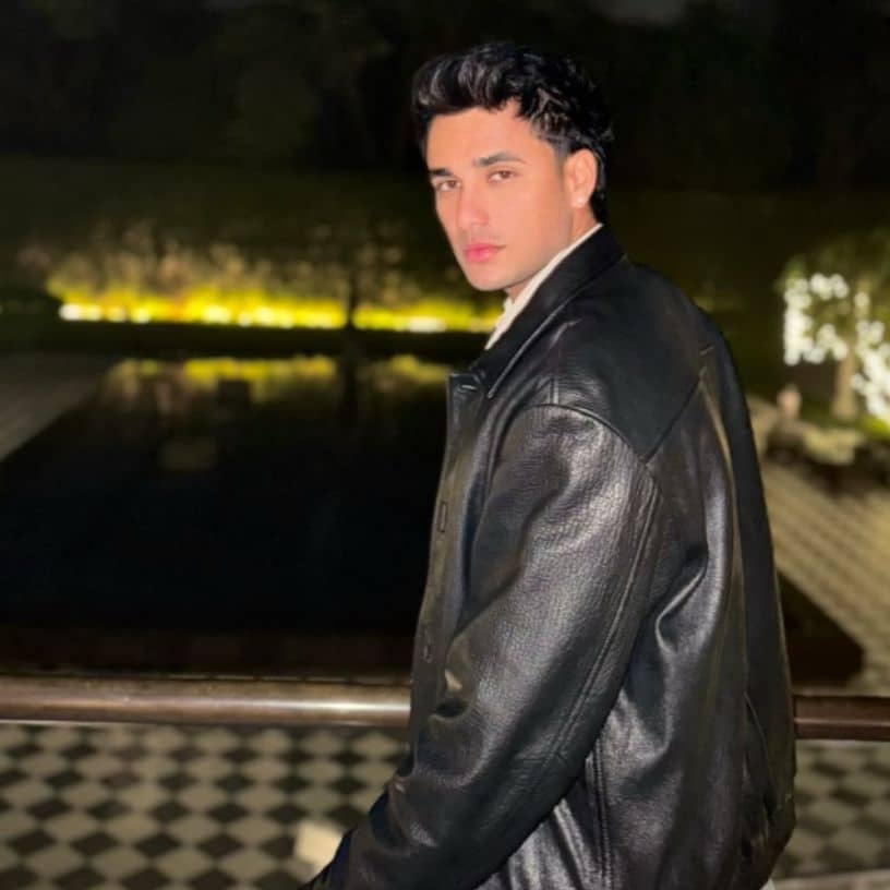 Description of the pic