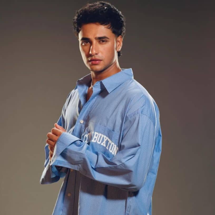 Description of the pic