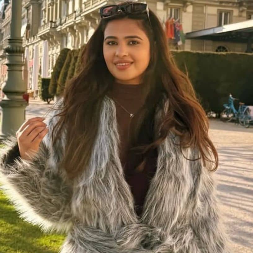 Description of the pic