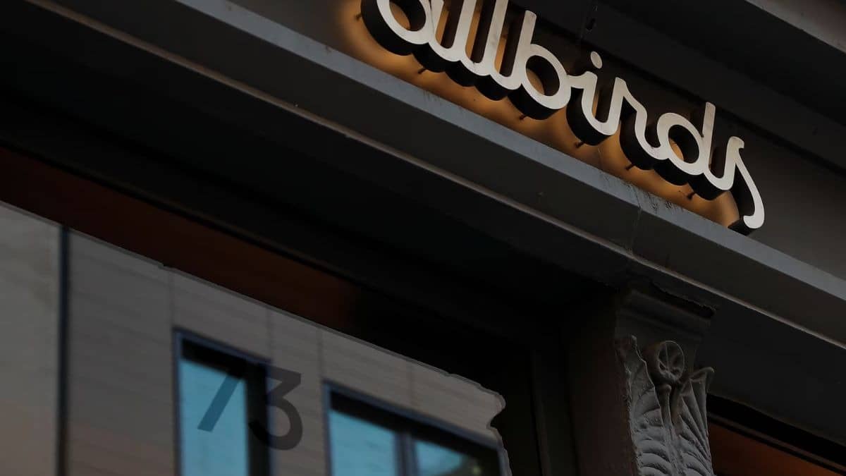 Allbirds Stock Rockets 876% on 'NewBird AI' Pivot & $50M GPU Deal