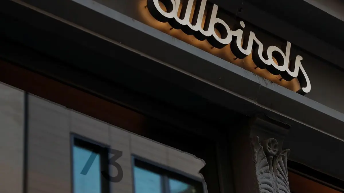 Silicon Valley’s Favorite Shoe Brand Dumps Footwear for AI Chips, And the Stock Soared 876% Allbirds Stock Rockets 876% on 'NewBird AI' Pivot & $50M GPU Deal