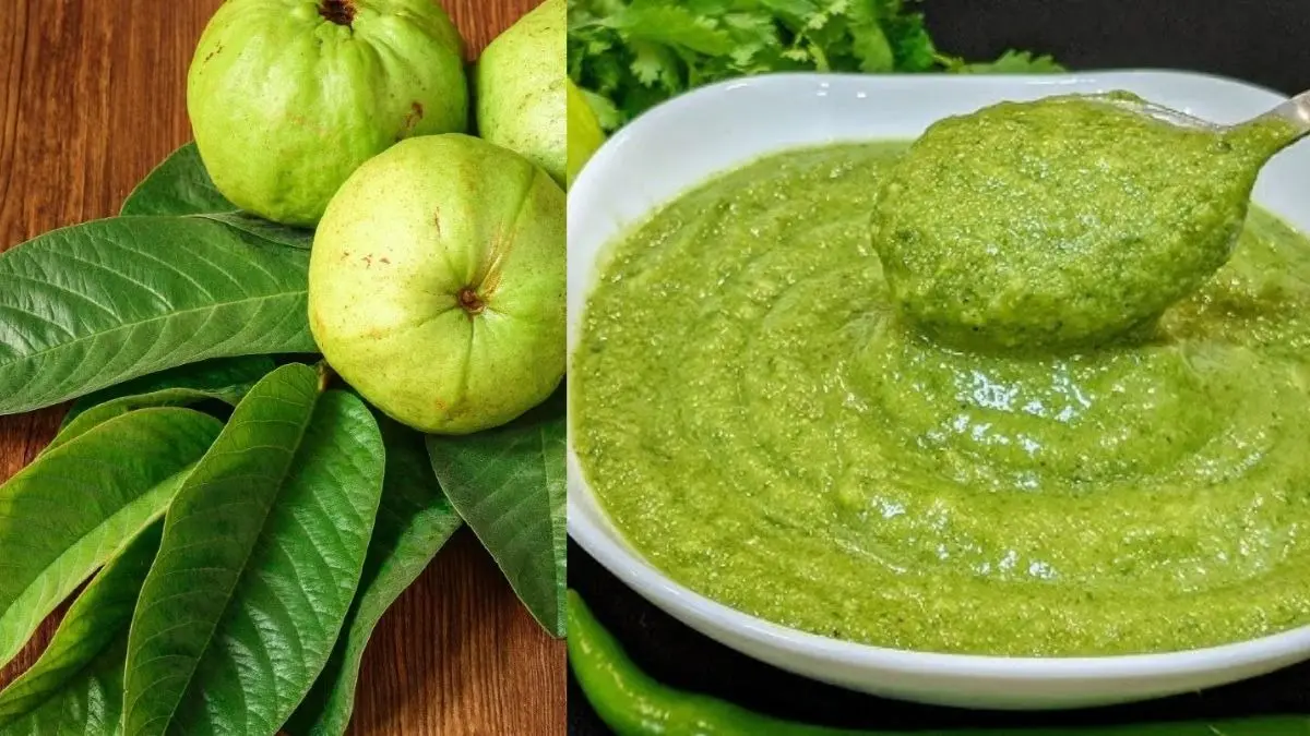 Amrood Ke Patte Ki Chutney Recipe: गर्मी में पेट को ठंडा और स्ट्रांग इम्यूनिटी के लिए बनाएं अमरुद के पत्ते की चटनी, नोट करें रेसिपी Amrood Ke Patte Ki Chutney Recipe