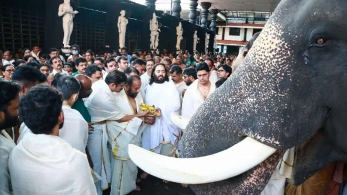 Anant Ambani Visits Guruvayur Temple; Contributes Rs 6 Crore in Donations, Commits Rs 12 Crore for Rajarajeshwaram Restoration; Reinforces Animal Welfare Efforts Through Vantara Anant Ambani Visits Guruvayur Temple; Contributes Rs 6 Crore in Donations, Commits Rs 12 Crore for Rajarajeshwaram Restoration; Reinforces Animal Welfare Efforts Through Vantara
