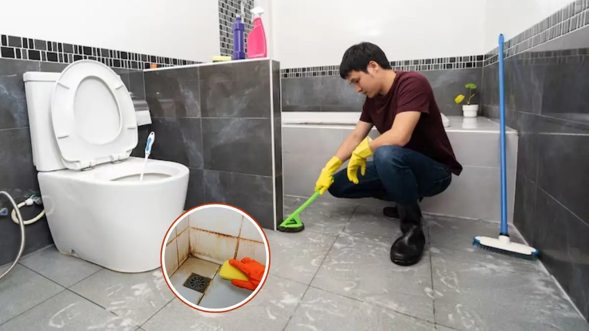 Bathroom Tile Cleaning Tips: बाथरूम की काली पड़ चुकी टाइल्स को मिनटों में करें साफ, अपनाएं ये घरेलू देसी टिप्स- ट्रिक्स Bathroom Tile Cleaning Tips