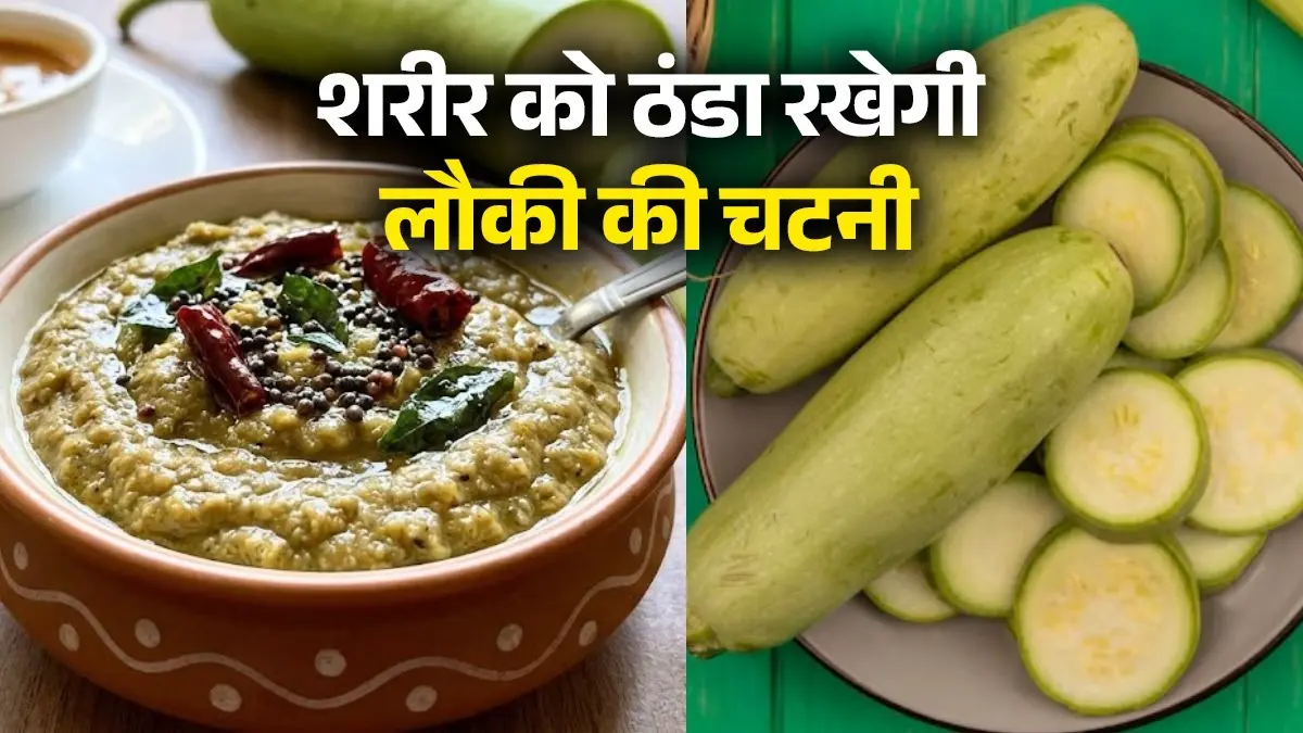 Lauki Ki Chutney Recipe: गर्मी में शरीर को ठंडक देगी लौकी की चटपटी चटनी, खाते ही बच्चे भी हो जाएंगे आपके फैन; नोट करें विधि bottle gourd chutney recipe for summer lauki ki chutney recipe ghiya chutney