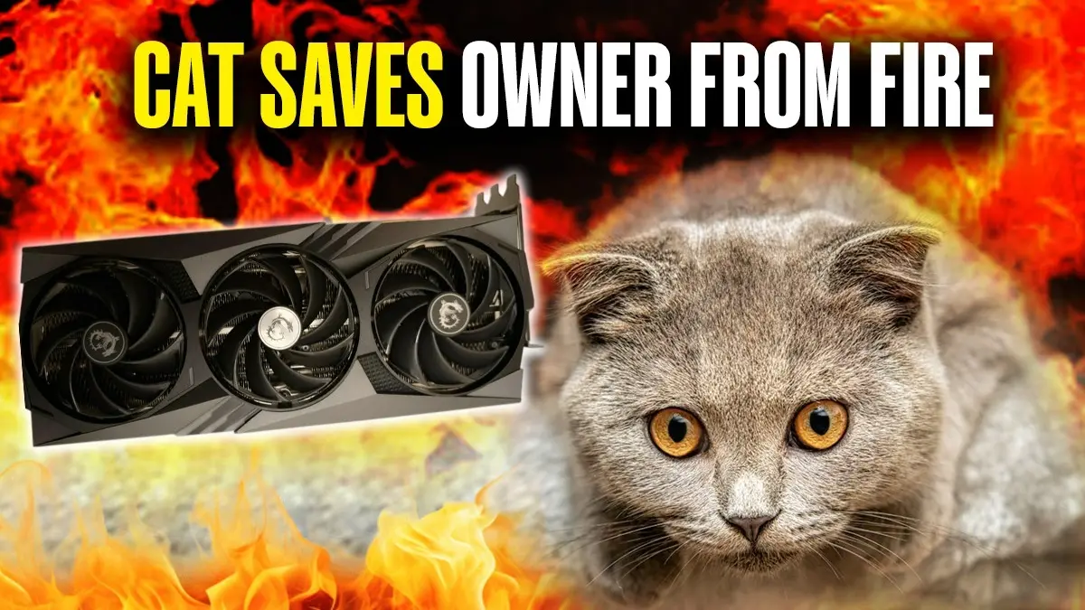 Cat Saves Owner From PC Fire: Nvidia RTX 4090 Setup Sparks Scare, Pet Turns Hero Cat Saves Owner From PC Fire: Nvidia RTX 4090 Setup Sparks Scare, Pet Turns Hero