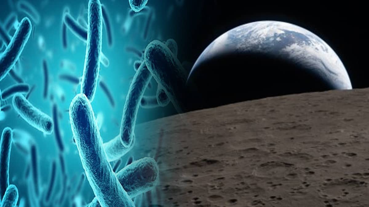 Chilean mission to send earth's micro organisms to space