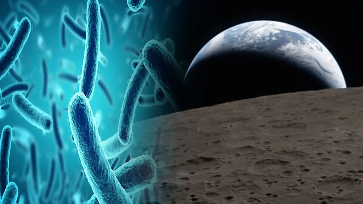 Earth’s Toughest Inhabitants Head to Space: Chile’s Landmark Space Mission to Probe the Originis of Life Chilean mission to send earth's micro organisms to space