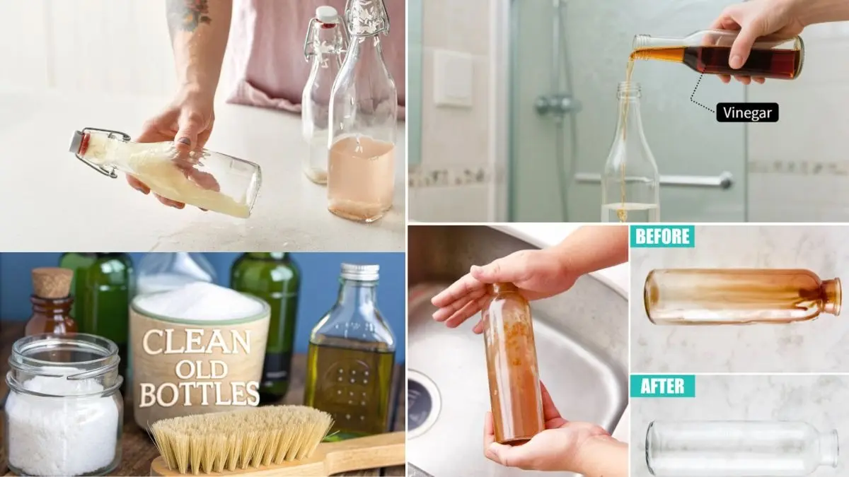 Cleaning Hacks: घर में रखी कांच की बोतलें और जार ऐसे करें साफ, 5 आसान तरीके जिनसे दाग 10 मिनट में छूट जाएंगे clean glass bottles