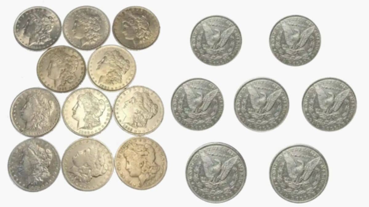 CoinKnow vs CoinSnap Reviews: Which Coin Identifier App Is Better?