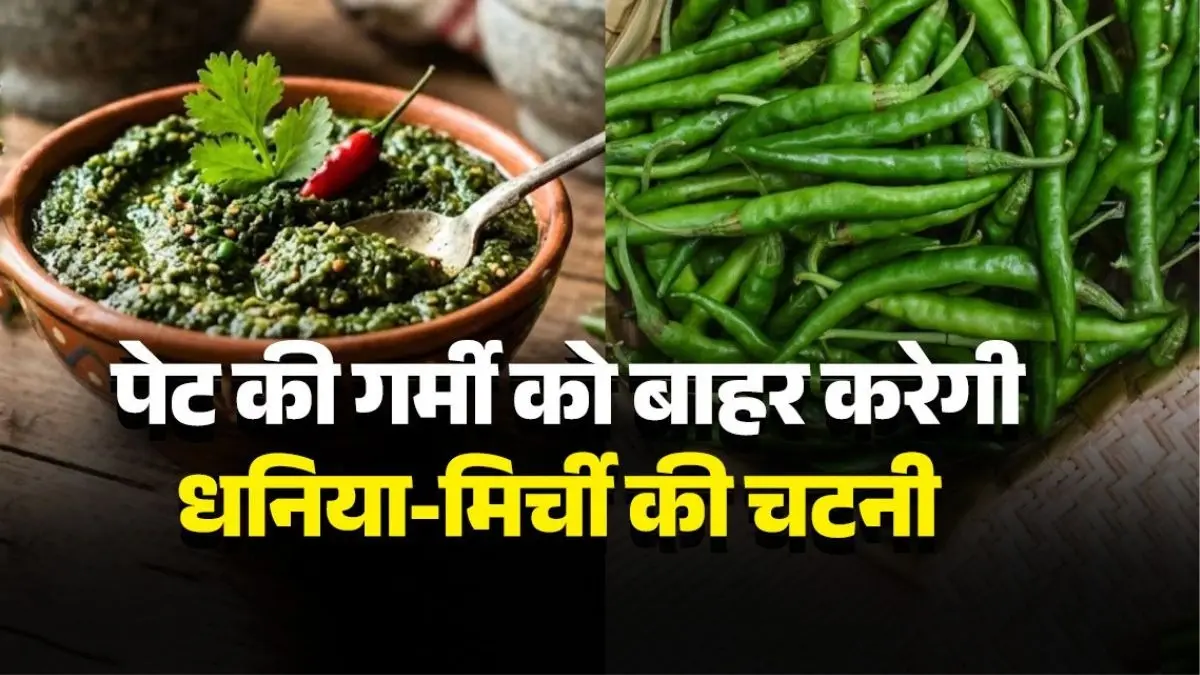Dhaniya Mirchi Ki Chutney Recipe: गर्मी में पेट की गर्माहट को बाहर करेगी धनिया-मिर्ची की तीखी चटनी, खाने का स्वाद भी होगा डबल; नोट करें विधि dhaniya-mirchi-ki-chutney-recipe-for-summer coriander green chilli chutney recipe spicy