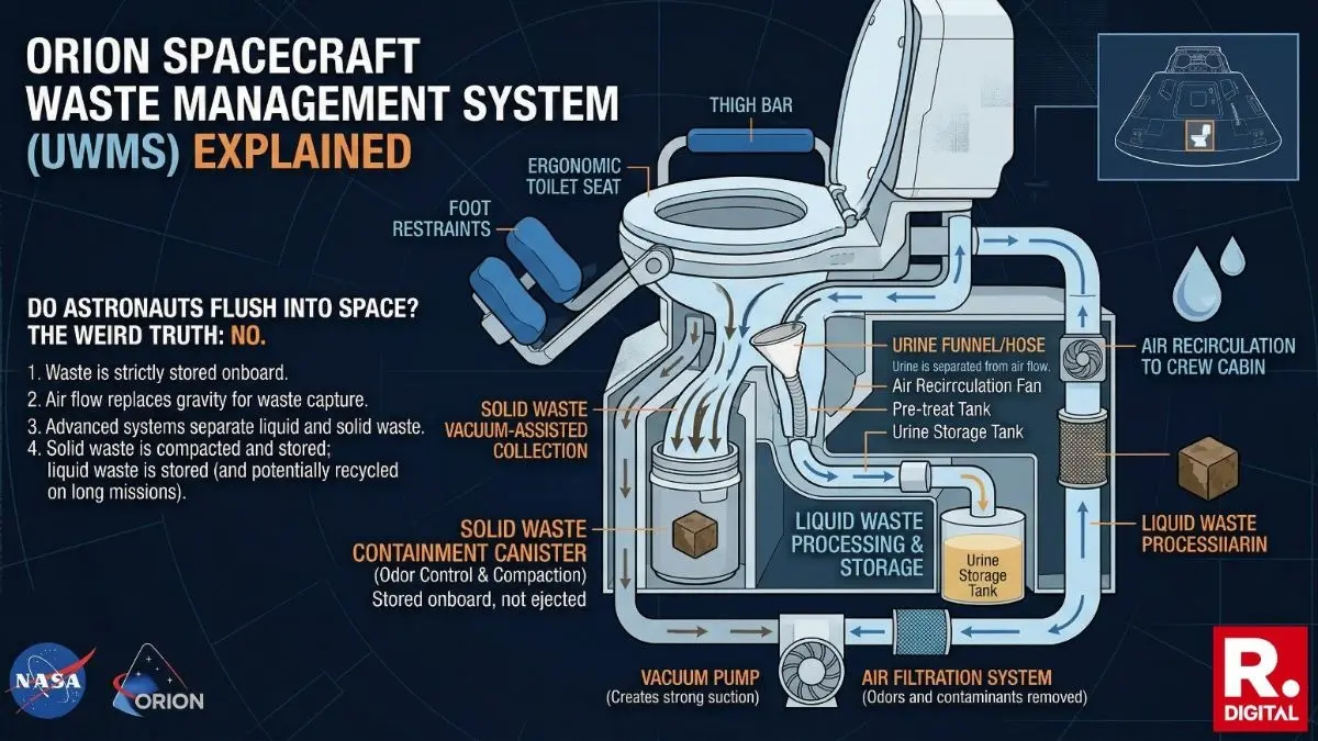 Do Astronauts Flush Into Space? The Weird Truth About Orion’s Toilet Will Surprise You Diagram of Orion spacecraft toilet system showing how astronauts manage waste in zero gravity