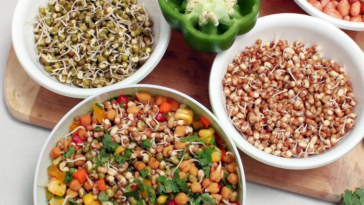 Eating Sprouts Risk: सेहत बनाने वाले स्प्राउट्स कहीं आपको बीमार न कर दें, खाने से पहले इन बातों का रखें ध्यान Eating Sprouts Risk