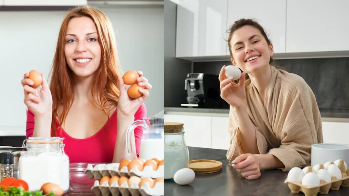 egg freshness test