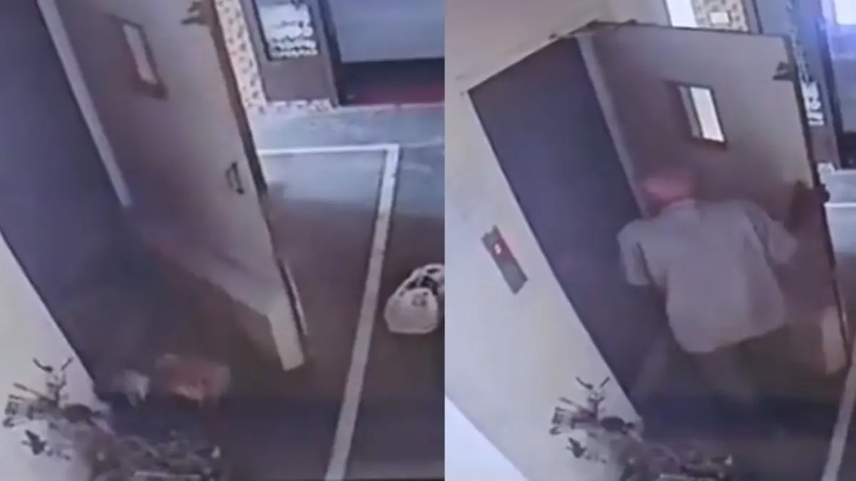 VIRAL VIDEO: सावधान! लिफ्ट में छुपी थी बुजुर्ग की मौत... पहुंचते ही दरवाजा खुला, पैर रखते ही सीधा अंदर; 2 दिन बाद मिली लाश Elderly man dies after falling into lift shaft