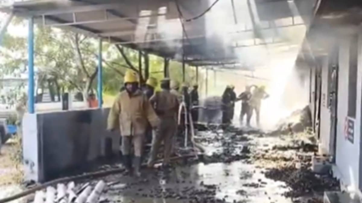 'Deeply Distressing': How PM Modi, Rahul Gandhi, Stalin Reacted To Virudhunagar Factory Fire Mishap