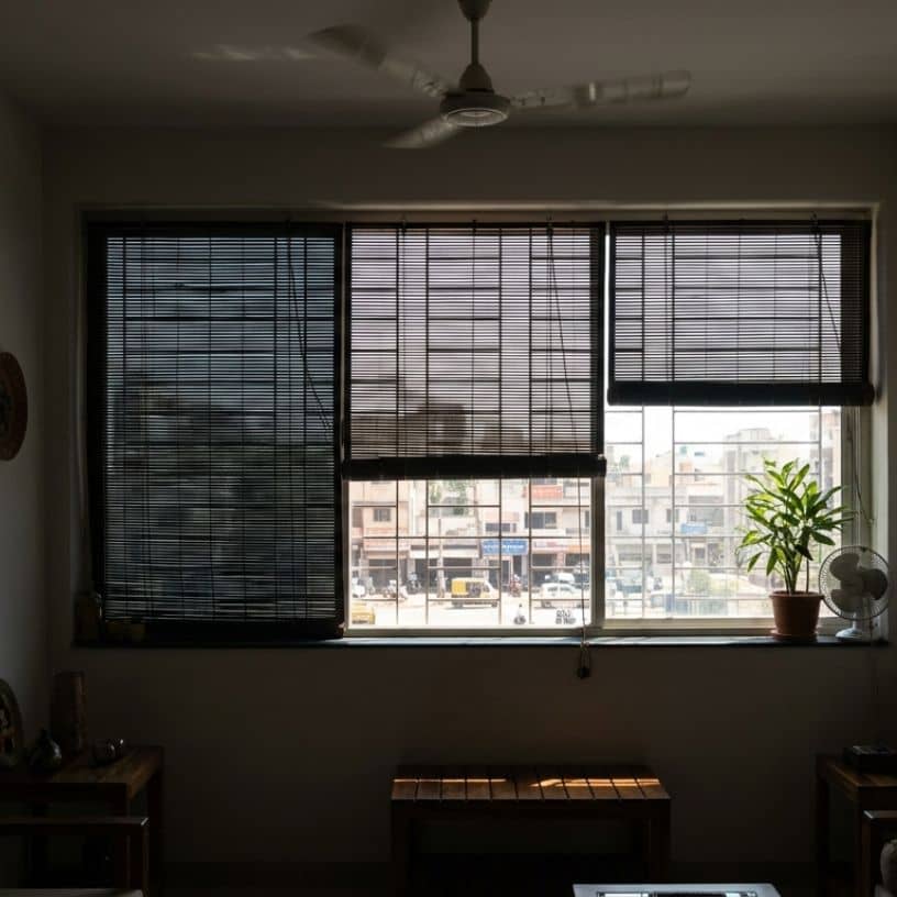 तस्वीर का विवरण