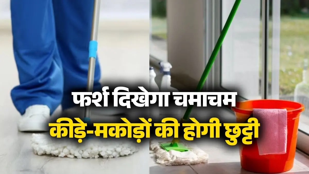 Floor Cleaning Tips: गर्मी में चिपचिपा हो गया है फर्श? पोछे के पानी में मिलाकर लगाएं ये चीजें, कीड़े-मकोड़ों की भी होगी छुट्टी; दिखेगा चमाचम floor-cleaning-tips-in summer-sticky-floor-hacks home-remedies kide-makode-bhagane-ke-tarike