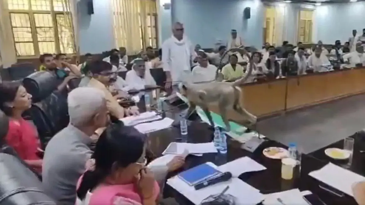 From Fields to Files: Baghpat DM’s Pet Langur ‘Matru’ Steals The Show At Official Farmers’ Meet | WATCH From Fields to Files: Baghpat DM’s Pet Langur ‘Matru’ Steals The Show At Official Farmers’ Meet | WATCH