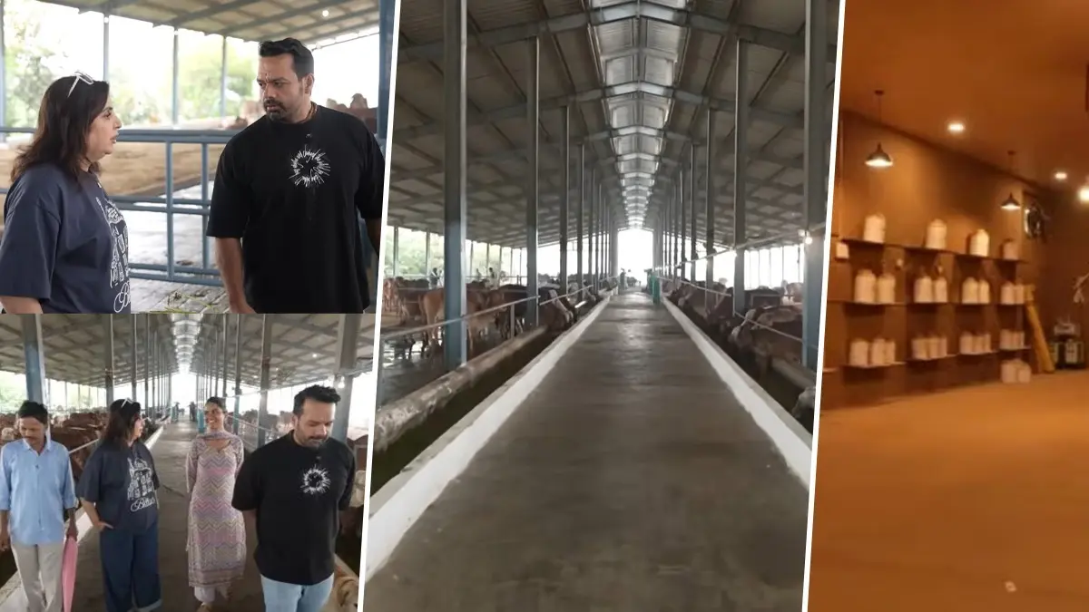 यूट्यूबर ने बनाया करोड़ों का इकोफ्रेंडली फार्म हाउस, गोबर से लीपी दीवार, 200 गायें और बिल्कुल गांव जैसा अनुभव... ठाठ देख फराह खान रह गईं दंग Gaurav Taneja farmhouse