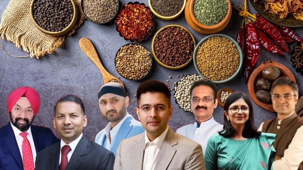 Bhagwant Mann Takes Brutal-Savage 'Ginger, Garlic, Red Chilli' Jibe At Rebel Raghav Chadha And Team: Here's What He Meant ‘Ginger, Garlic, Red Chilli… Can’t Be the Vegetable’: Punjab CM Mocks 7 AAP MPs After Exit