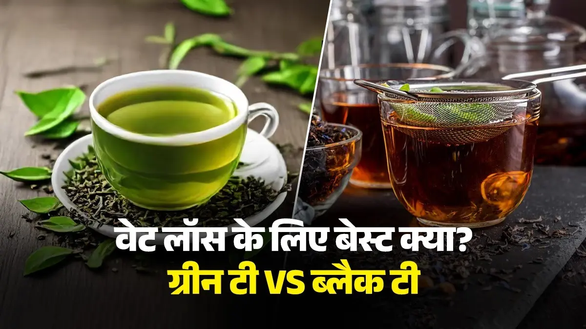 Green Tea vs Black Tea for Weight Loss: पेट की चर्बी पिघलाने के लिए कौन सी चाय बेहतर, ग्रीन या ब्लैक टी में क्या बेस्ट? जानें फायदे Green Tea vs Black Tea for Weight Loss