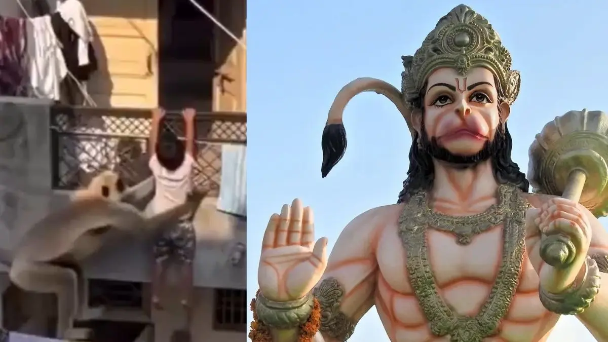 बालकनी से गिरने वाला था छोटा बच्चा, तभी हुआ चमत्कार; भगवान के रूप में आए बंदर ने ऐसे बचाई जान; VIDEO देख यूजर्स बोले- जय बजरंग बली Hanuman Ji langur saved children video viral