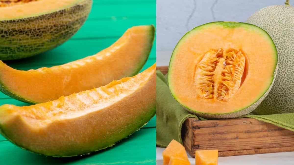 how to buy musk melon easily tips and hacks to purchase kharbooja kharidne ke tips 
