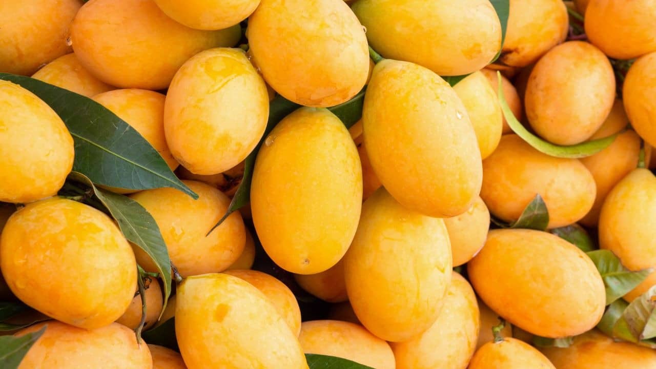 How To Spot Chemically Grown Mangoes?