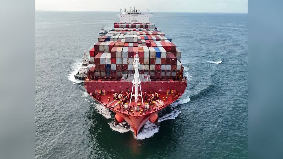 India's Seafood Exports Hit All-Time High Of Rs 72,000 Crore