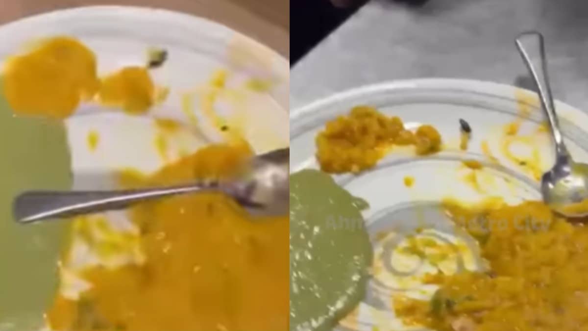Insect Found In Khichdi At Ahmedabad's The Hocco Kitchen; Rs 5,000 Fine Imposed