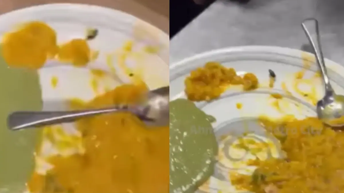 Insect Found In Khichdi At Ahmedabad's The Hocco Kitchen; Rs 5,000 Fine Imposed Insect Found In Khichdi At Ahmedabad's The Hocco Kitchen; Rs 5,000 Fine Imposed