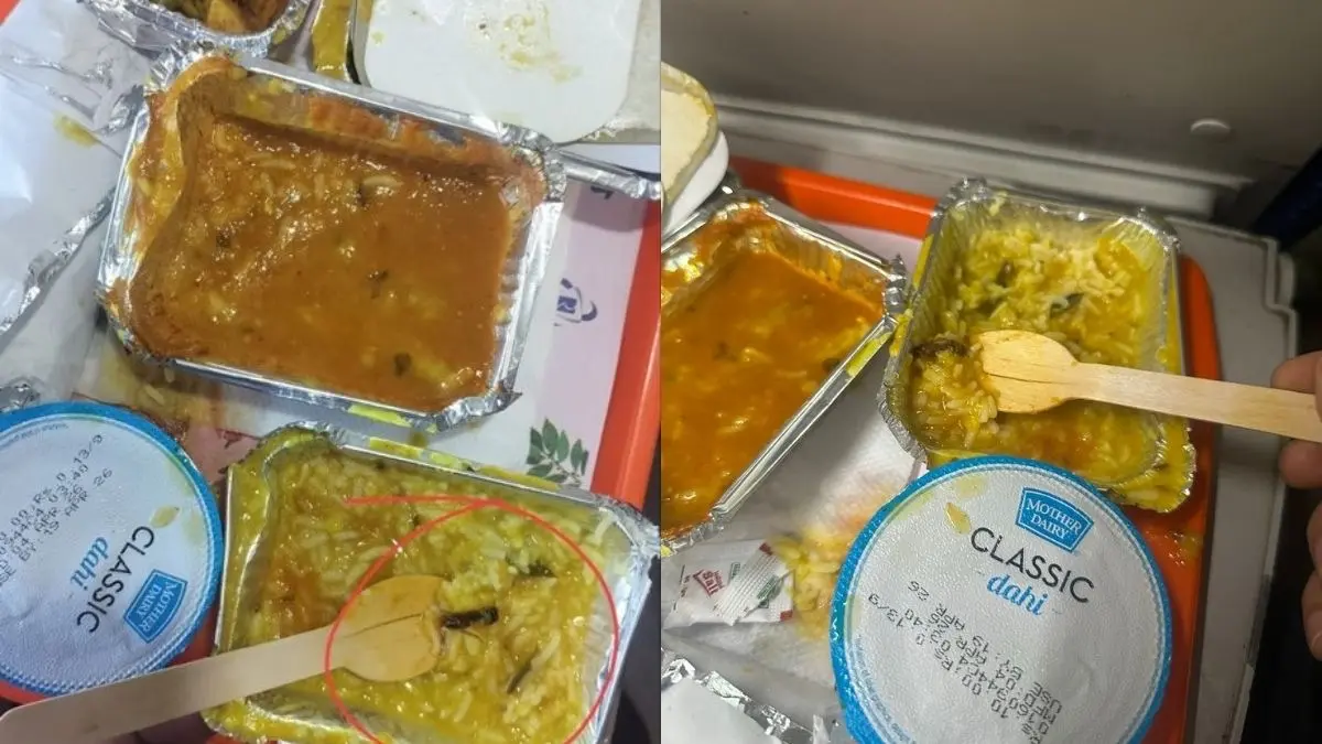 Insect Found in Vande Bharat Train Food, IRCTC Fines Vendor ₹10 Lakh Fine After Passenger’s Dal Chawal Complaint Insect Found in Vande Bharat Train Food, IRCTC Fines Vendor ₹10 Lakh Fine After Passenger’s Dal Chawal Complaint