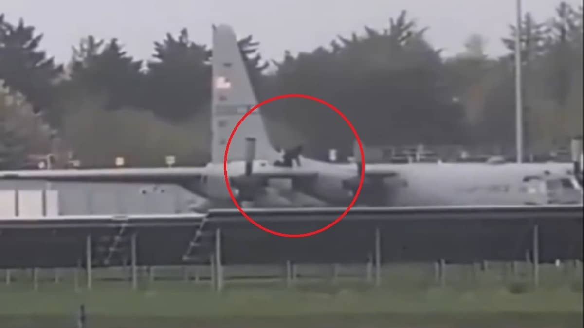 Intruder Climbs And Damages US Military C-130 Hercules Aircraft Parked At Ireland's Shannon Airport | WATCH